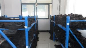 CDYHAIRVN Cheveux Vietnamiens 22 pouces, Naturels Bruts Lisses, Noir Naturel 1B, Peut Être Décoloré, Double Tirage, Non-Remy, Vente en Gros Directe Usine - Product Image 6