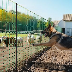 Clôture électrique pour bétail, filet portable de 50 po de hauteur x 164 po de longueur, filets en maille pour chèvres, moutons, cerfs, jardin, avec poteaux et piquets - Product Image 3