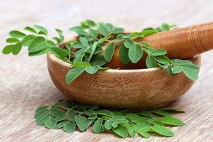 Moringa Powder 100% Natural & Pure for Bakery & Nutritional <b>Beverages</b> 10kg Eco-Friendly Pack - Product Image 3