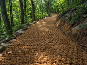 100% Eco Friendly Coconut Fiber Coir <b>Mat</b> <b>Roll</b> From Vietnam Brown Walkway Paving <b>Mat</b> Natural Coir Flooring Landscape Size 1.0*10m - Product Image 3