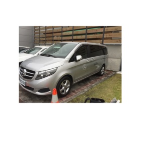 V-Class Vito/Vaneo/Viano (W447) et Metris Pare-soleil de porte de fenêtre à canal intégré Pare-soleil Déflecteur de vent et d'insectes pour le Canada et les États-Unis - Product Image 1