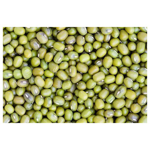 Haricots Mungo Verts en Gros Prix d'Usine Haricots Mungo Verts - Product Image 5