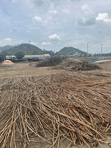 ไม้หวายธรรมชาติเวียดนาม คุณภาพพรีเมียม ขัดเงา ขายส่งจำนวนมาก สำหรับผู้ซื้อทั่วโลก - Product Image 2
