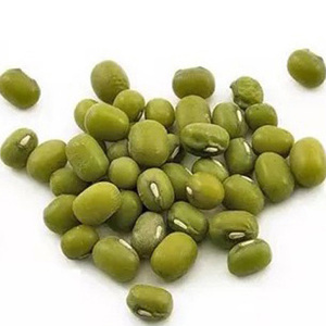 Precio al por mayor de frijoles mung verdes, frijoles mung verdes de primera calidad, frijoles mung verdes al por mayor a precio económico - Product Image 1