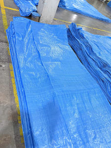 Bâche en PE résistante aux intempéries, imperméable et anti-UV, pour la construction et l'agriculture - Fabricant et exportateur - Product Image 6