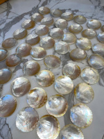 Assiette élégante en nacre, fabriquée à la main au Vietnam, plat en coquillage naturel pour la décoration de la maison de luxe et la restauration.