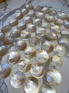 Assiette élégante en nacre, fabriquée à la main au Vietnam, plat en coquillage naturel pour la décoration de la maison de luxe et la restauration. - Product Image 4