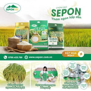 Riz blanc pur naturel de qualité supérieure SEPON, certifié ISO 20200, sac de 5 kg, exportation agricole, grain long, texture dure, ST25, 3% SPVGrice - Product Image 6