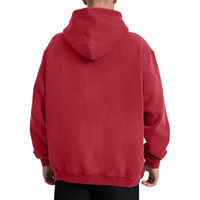 Sweats à capuche tendance coupe classique pour jeunes et adultes – Élégants, confortables, décontractés, pour le quotidien – 100 % coton, écologiques