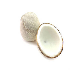 Coco Seco Blanco Indio Premium, Copra Madura Entera con Textura Natural y Aroma, Proceso FD, en Rodajas, Diseñado para Exportación al por Mayor - Product Image 2