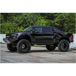 Ford F-250 Super Duty MegaRexx MegaRaptor 4x4 2022 - Product Image 5