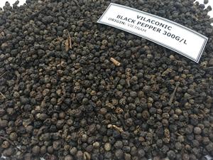 ÉPICES D'HERBES SÉCHÉES DE POIVRE NOIR DE HAUTE QUALITÉ DU VIETNAM FOURNITURE STABLE LINDA WS(+ 84)393250278 - Product Image 5