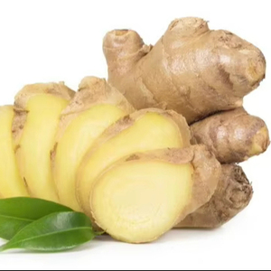 Gingembre frais biologique du Vietnam, qualité supérieure, meilleur prix de gros, qualité exceptionnelle, en vrac - Product Image 1