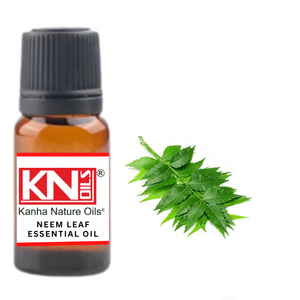 Vente en gros HUILE ESSENTIELLE NEEM LEAF Le plus grand fabricant indien Kanha Nature Oils-Lavande Girofle Bois de Santal Thym pour les soins de la peau - Product Image 1