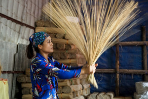 แท่งไม้ไผ่ทรงกลมขนาด1.3มม. สำหรับธูปผลิตจากเวียดนาม + 84916930070 - Product Image 2