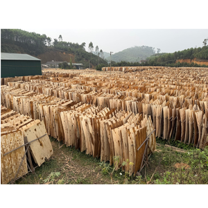Planches de contreplaqué industriel en placage d'acacia, coupe rotative, haute densité, surface lisse, texture noueuse, qualité industrielle A/AB - Product Image 3