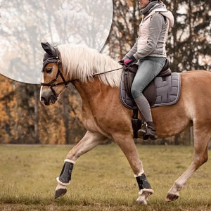 Gants d'équitation professionnels en cuir, paume antidérapante, pour entraînement et compétition, à vendre - Product Image 2