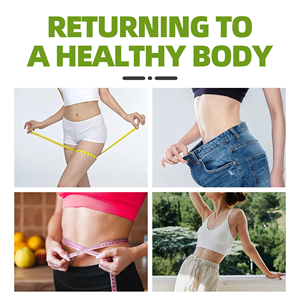 OEM ODM Listo para Enviar: Bolsitas de Té Adelgazante, Mezcla Herbal Natural de Moringa y Hoja de Loto, Té Verde para el Control de Peso - Product Image 6