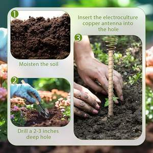 Estaca de Cobre Ecológica Natural para Cultivo de Plantas y Salud, de Fabricante y Proveedor Indio - Product Image 5