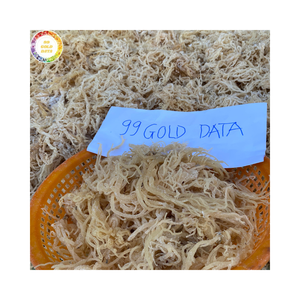 สาหร่ายคอตตอนนีแห้ง (Eucheuma cottonii) สาหร่ายดิบสำหรับคาราเจนัน เกรดอาหาร สาหร่ายสำหรับส่งออกจำนวนมาก - Product Image 1