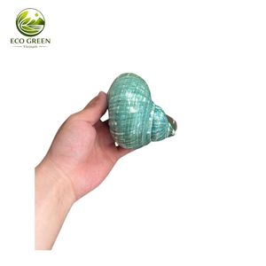 เปลือกหอยสังข์สีขาวธรรมชาติ เปลือกหอยมุกขนาดใหญ่ สำหรับตกแต่งบ้าน ตกแต่งตู้ปลา งานฝีมือ ขายส่ง - Product Image 2