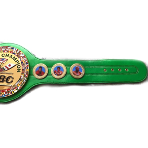 2026 Hot Selling Custom <b>Wrestling</b> Heavyweight Championship Brass Zinc Metal <b>Belt</b> for Karate Taekwondo Judo - Product Image 4