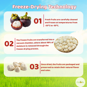 Emballage en vrac de qualité supérieure Mangoustan entier lyophilisé cultivé en serre goût sucré et croustillant prêt à manger pratique facile - Product Image 2
