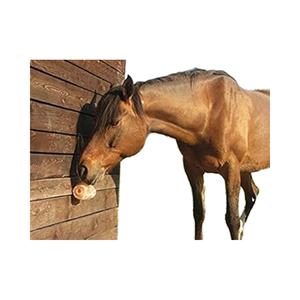 Meilleure Qualité Écologique De L'Himalaya Naturel Sel Licks Premium Craft Produit pour Animaux Prix Compétitif - Product Image 3