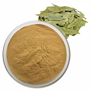 Extrait de feuille de séné de qualité supérieure 10:1, poudre de séné de qualité alimentaire pour le soutien digestif, approvisionnement en vrac, poudre de feuille de séné finement moulue - Product Image 1