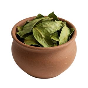 Hojas de Guanábana Premium de Vietnam: Cuidadosamente seleccionadas por su calidad y rentabilidad - Product Image 1