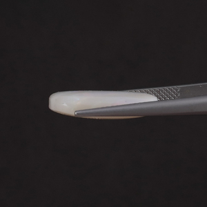 โอปอลธรรมชาติคุณภาพพรีเมียม รับรองโดย IGI สีขาว น้ำหนัก 7.93 กะรัต รูปทรงคุชชั่น ขนาด 19x13 มม. ขัดเงา ผ่านการเคลือบด้วยแว็กซ์/น้ำมัน - Product Image 2