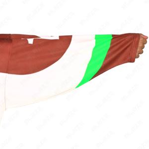 Jersey de hockey sobre hielo personalizado, sublimado de hockey sobre hielo, camiseta de fútbol de sarga de aparejos - Product Image 6