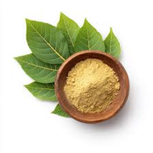 Extracto de Hoja de Banaba en Venta, Ácido Corosólico al 20% - Product Image 4