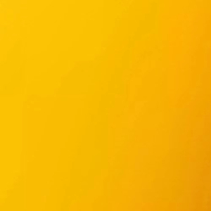Ropa de estilo de vida con textura suave, pantalones cortos deportivos para mujer, cómodos para uso diario, pantalones cortos deportivos elásticos para mujer. - Product Image 2