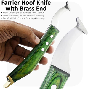 Super Sharp Hoof Knife with Brass End Precision-<b>Sharpened</b> Stainless Steel Blade & Wooden Handle Pro Farrier Hoof Trimming <b>Tool</b> - Product Image 3