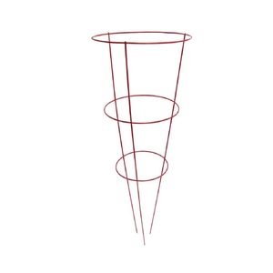 Support de Plantes Métallique de Haute Qualité pour Jardin, Décoration de Jardin, Tour pour Plantes Grimpantes, Taille et Forme Personnalisables - Product Image 4