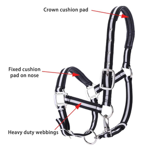 High Quality Premium Nylon Horse <b>Halter</b> with Fittings & Matching Lead Rope Synthetic Padded Wholesale From Manufacturers - Product Image 2
