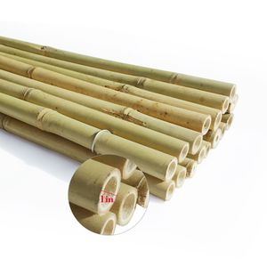 Recinzioni in bambù durevoli 4FT*8FT, barriera ecologica tra natura e privacy per prodotti di recinzione da esterno - Product Image 3