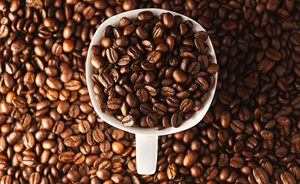 Large Quantity Organic Arabica Roasted and Ground Coffee, Vietnam Manufacturer, USDA Certified, Foreign Matter 0.1% - Product Image 5