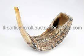 Cuerno de Kudu natural pulido Shofar Rams Cuerno Recuerdo con estilo de animal náutico - Product Image 4
