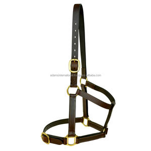 Premium elegante inglés sillín caballo Halter personalizado Premium ecuestre cuero accesorio - Product Image 1