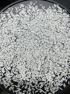 Proveedor Número 1 de Vietnam - Arroz Aromático Jasmin, Riz Au Arroz |   ISO, HACCP, HALAL, Muestra Gratuita | Sra. Aurora+OO84919574297 - Product Image 2