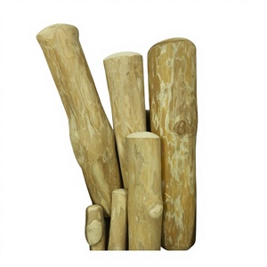 Mordedor de Madera de Café de Alta Calidad, Resistente y Duradero, Rama de Árbol Natural para Perros Mordedores Agresivos, Suministro para el Cuidado Dental - Product Image 1
