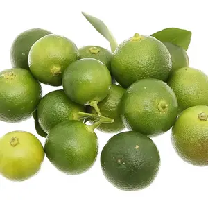 Fresh Green Calamansi Citrus for Detox Tea Juice / Fresh Kumquat Fruit Vietnam for Food Flavour Bulk Packing