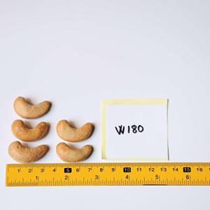 เม็ดมะม่วงหิมพานต์คั่วพรีเมียมออร์แกนิกเวียดนาม ตราตงฟู่ พร้อมใช้ บรรจุภัณฑ์ซิปล็อคใสแบบเปลือกหุ้ม ได้รับการรับรองมาตรฐาน ISO น้ำหนัก 250 กรัม รุ่น W180 - Product Image 2