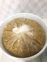 Vietnamese exporteur levert premium diepvries passievrucht: ideaal voor dranken en desserts./ John
