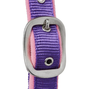 Harnais pour cheval en nylon violet avec rembourrage rose et boucles métalliques pour l'équitation et l'entraînement - Product Image 4