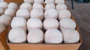 EXPORT STANDARD Premium Whole <b>FRESH</b> PEELED Shell Young <b>Coconut</b> 750g 800g Ben Tre Vietnam Quality Healthy Natural Tropical Drink - Product Image 6