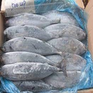 Thon Skipjack Congelé de Qualité Supérieure en Gros, Exportation en Vrac, Qualité Alimentaire, Stock Prêt, Meilleure Qualité, Approvisionnement - Product Image 1