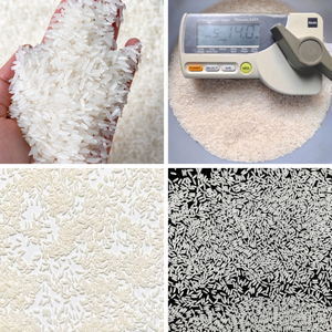 Arroz Jazmín Hom Mali 25 LB, Arroz Aromático de Grano Largo, Riz Au Jasmin - Product Image 3
